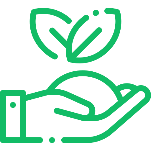 Producción de Huevo